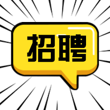 <b>衡水桑迪网络技术有限公司-人才招聘</b>